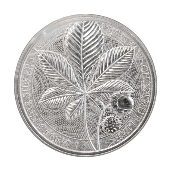 2021-Germania-栗子葉銀幣-1oz-正反面實拍圖｜9999純銀1