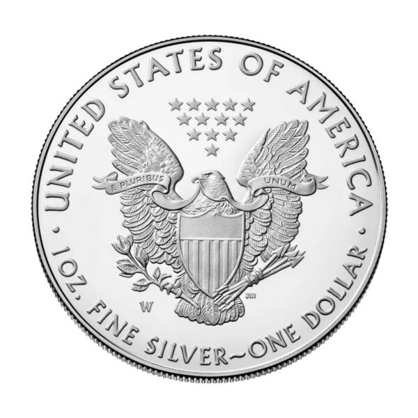 美國 Silver Eagle 銀幣 反面老鷹與13星國徽圖案